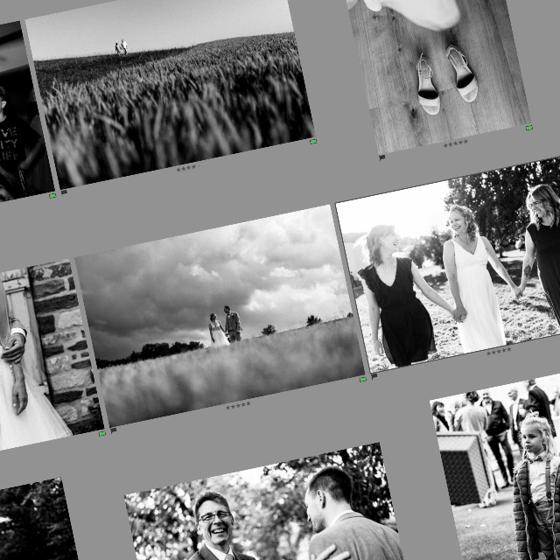 Rasteransicht eines Bildbearbeitungs-Katalogs mit vielen schwarz-weißen Hochzeitsfotos als Vorschaubildern, versehen mit Sterne-Bewertungen und Flag-Markierungen – die Sichtung und Auswahl der Bilder
