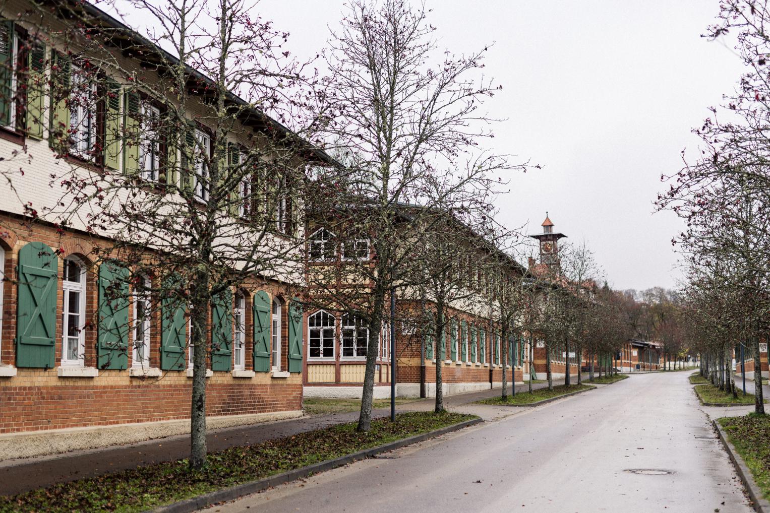 Brautpaar beim Paarshooting auf der Lindenallee des Albgut Münsingen