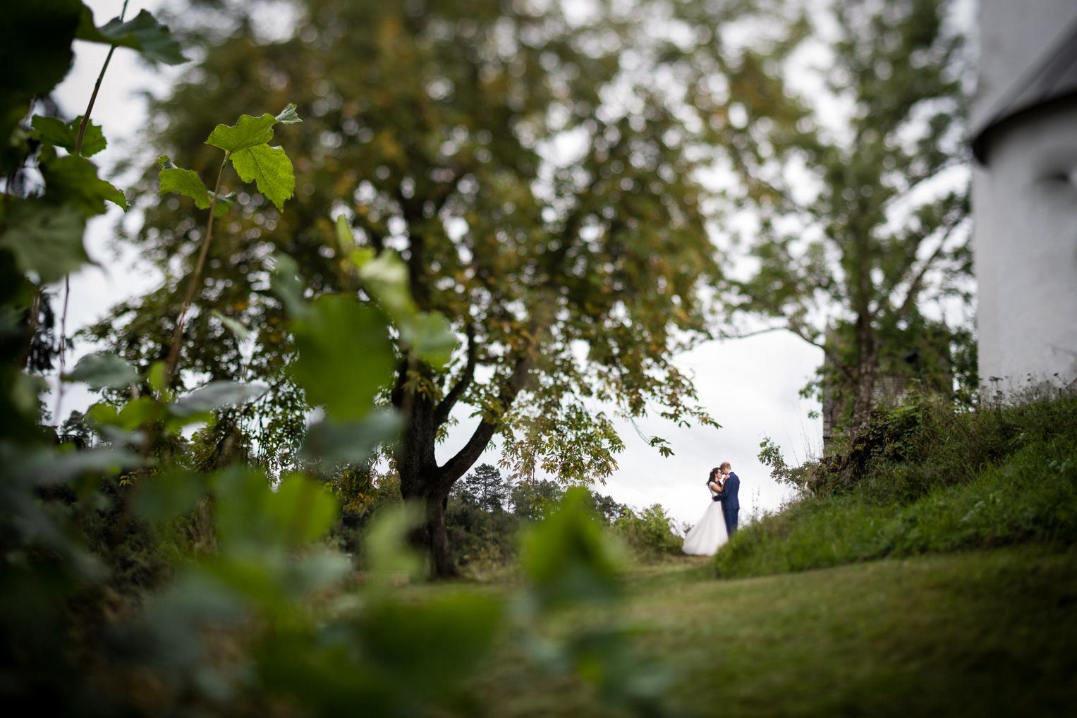Brautpaar küsst sich im Burgpark Veringenstadt, gerahmt von Weinblättern im Vordergrund