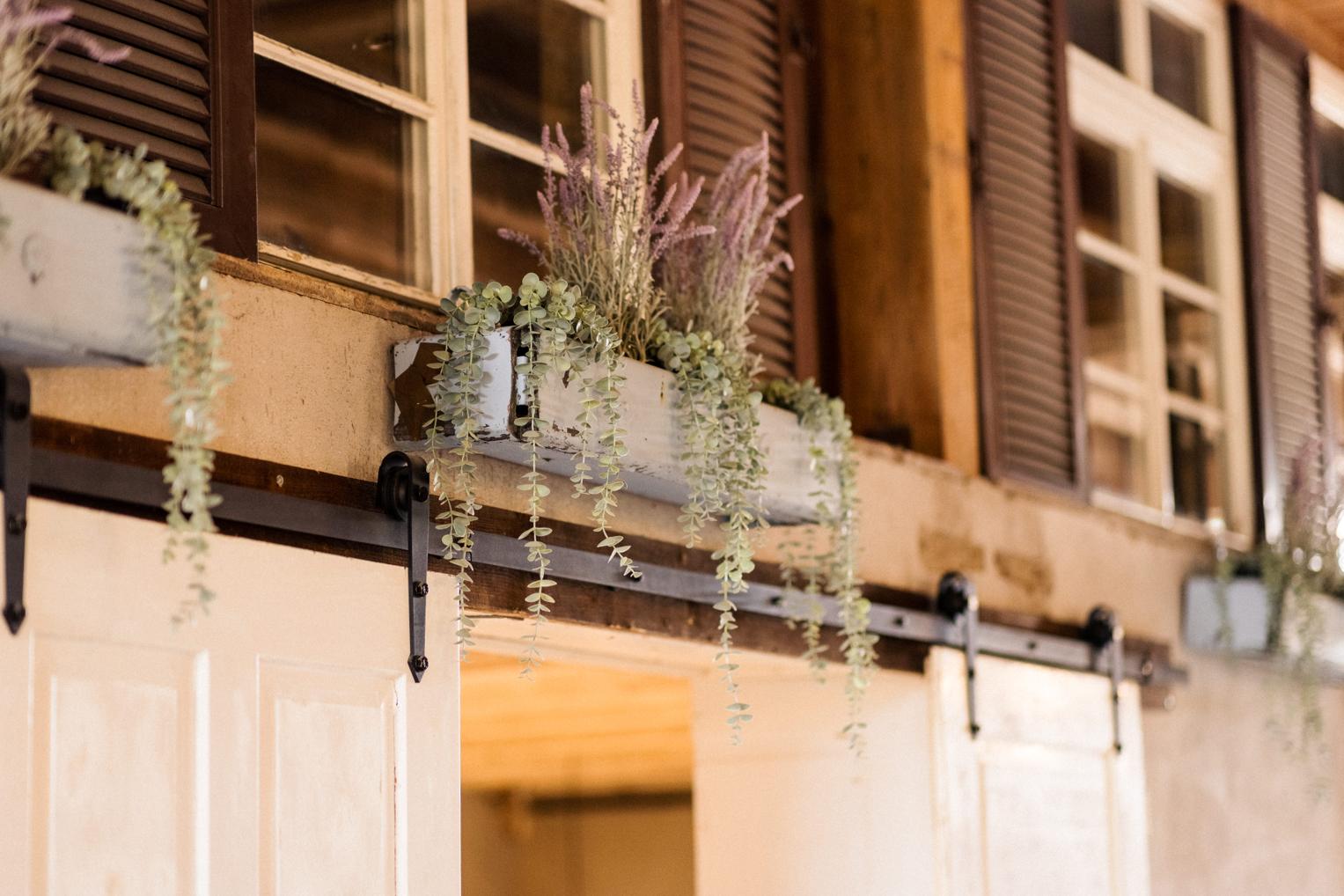Blumenkasten mit Eukalyptus und Lavendel an einer Holzscheunenfassade am Lindenhof Mötzingen