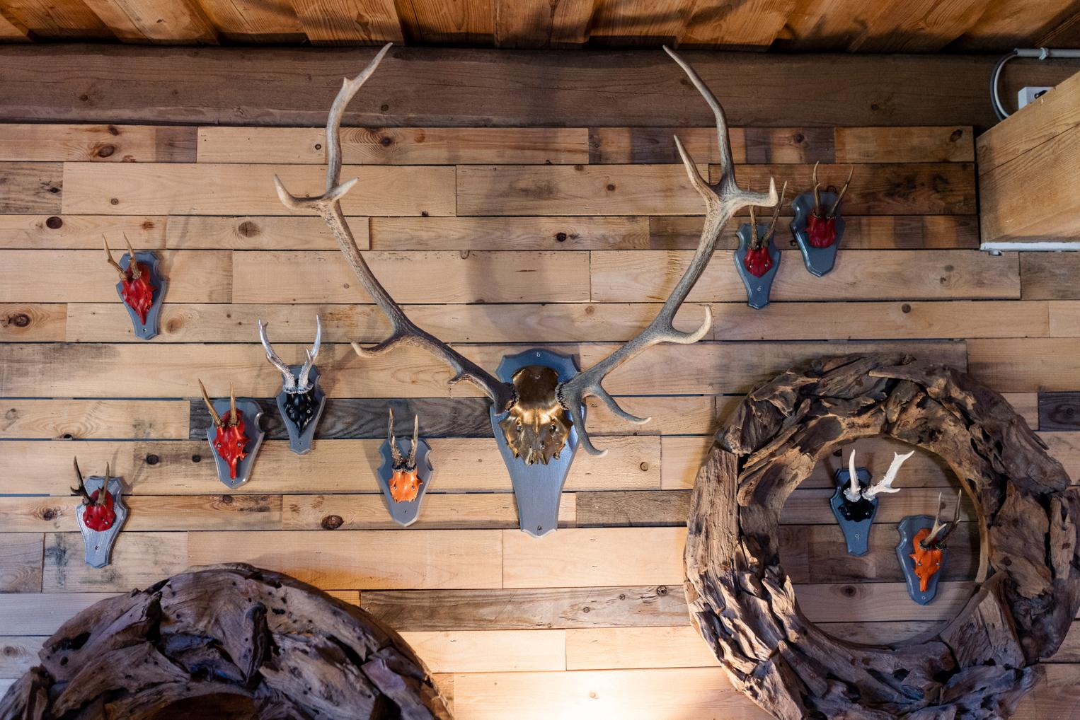 Geweihe und Hirschtrophäen an der Holzwand der Lounge im Hofgut Bärenschlössle