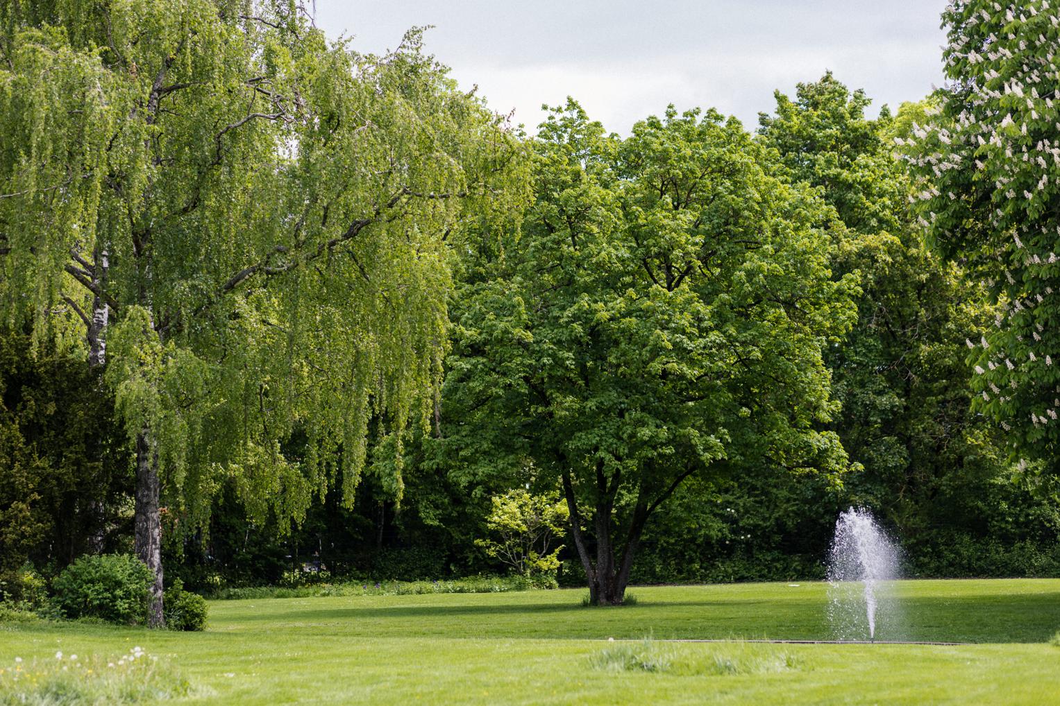 Kieferpark der Villa Schwalbenhof Gärtringen – Bäume, Teich mit Fontäne, grüne Wiese