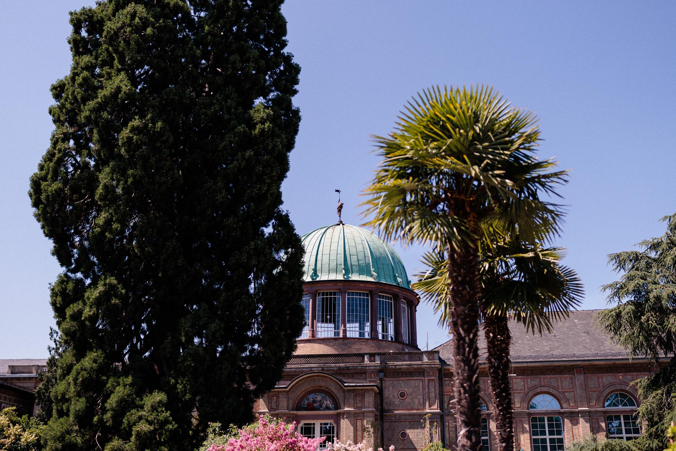 Kuppelbau mit grünem Dach zwischen Zypresse und Palme im Botanischen Garten Karlsruhe