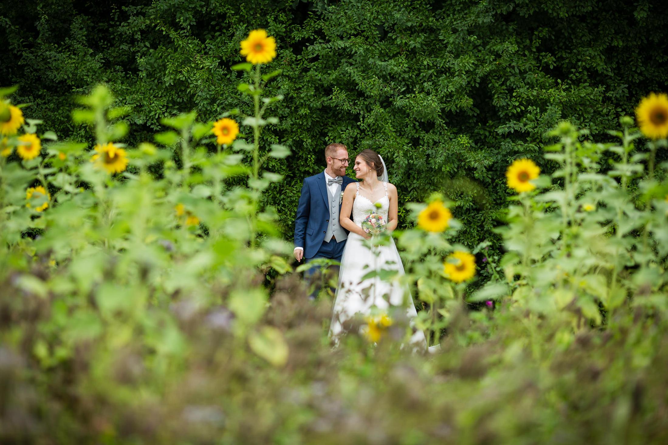 Brautpaar zwischen Sonnenblumen im Garten von Schloss Filseck