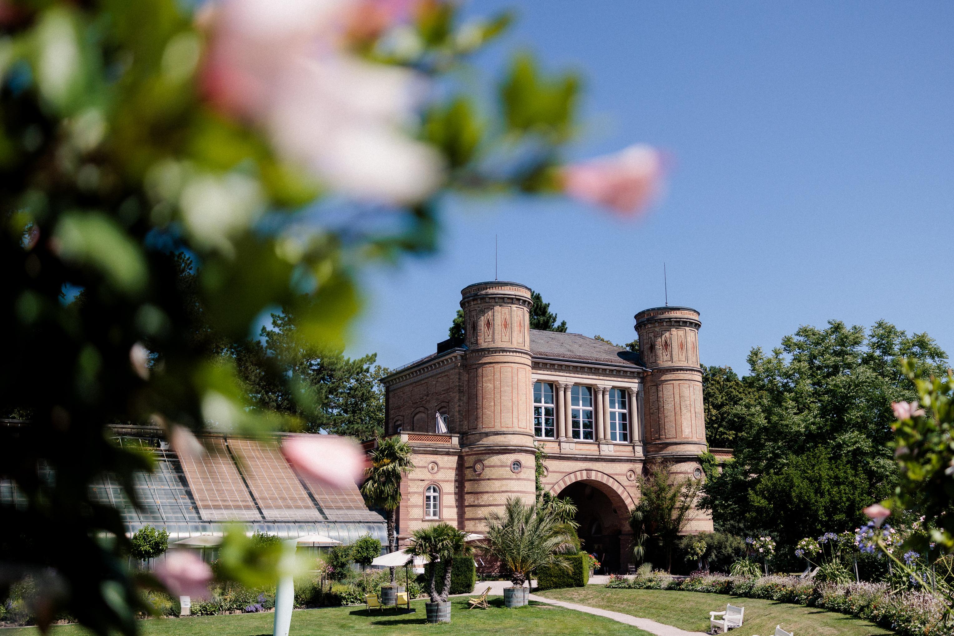Blick durch rosa Blüten auf das Torbogengebäude des Botanischen Gartens Karlsruhe unter blauem Sommerhimmel